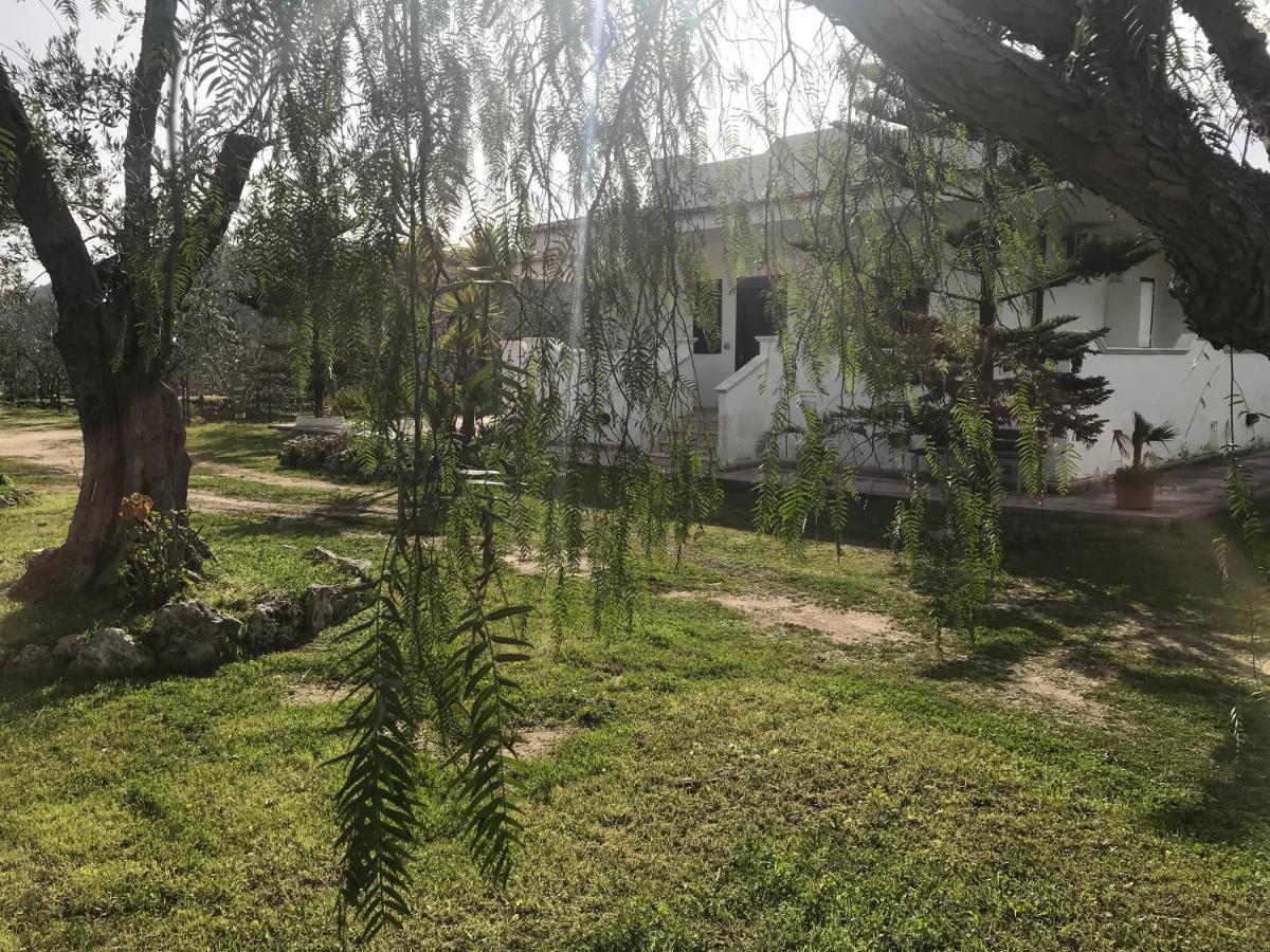 Villa Angela Case Vacanza Vieste Exteriér fotografie