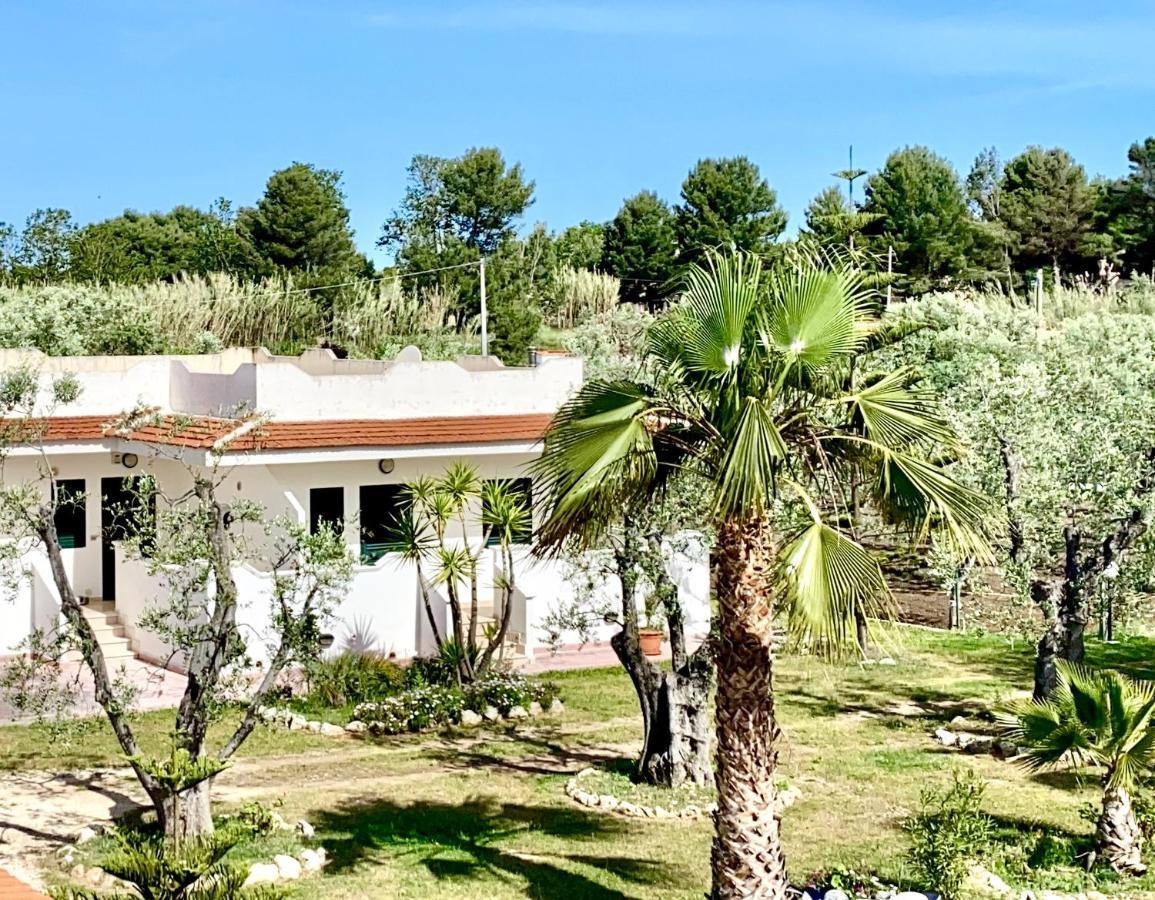 Villa Angela Case Vacanza Vieste Exteriér fotografie