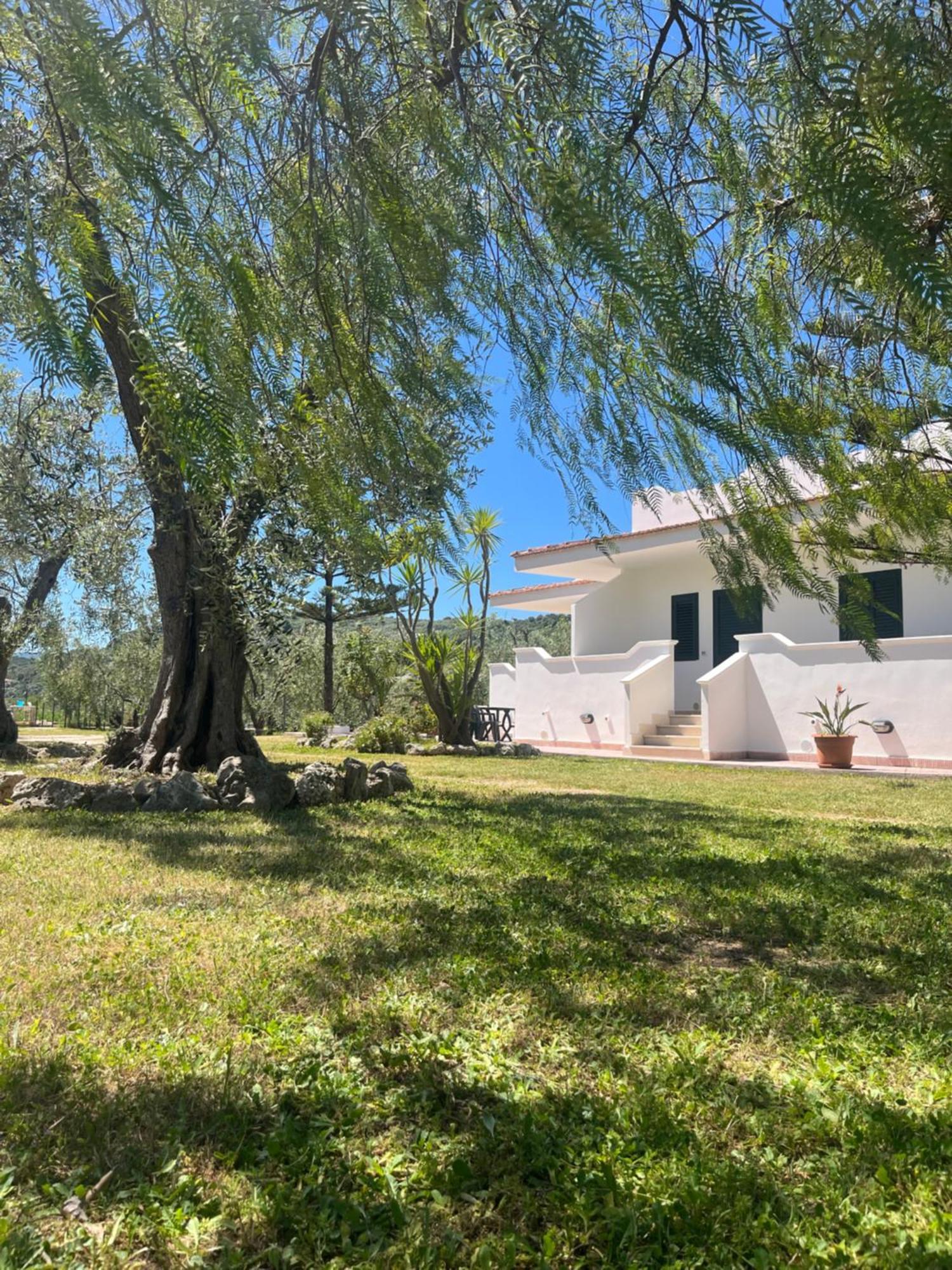 Villa Angela Case Vacanza Vieste Exteriér fotografie
